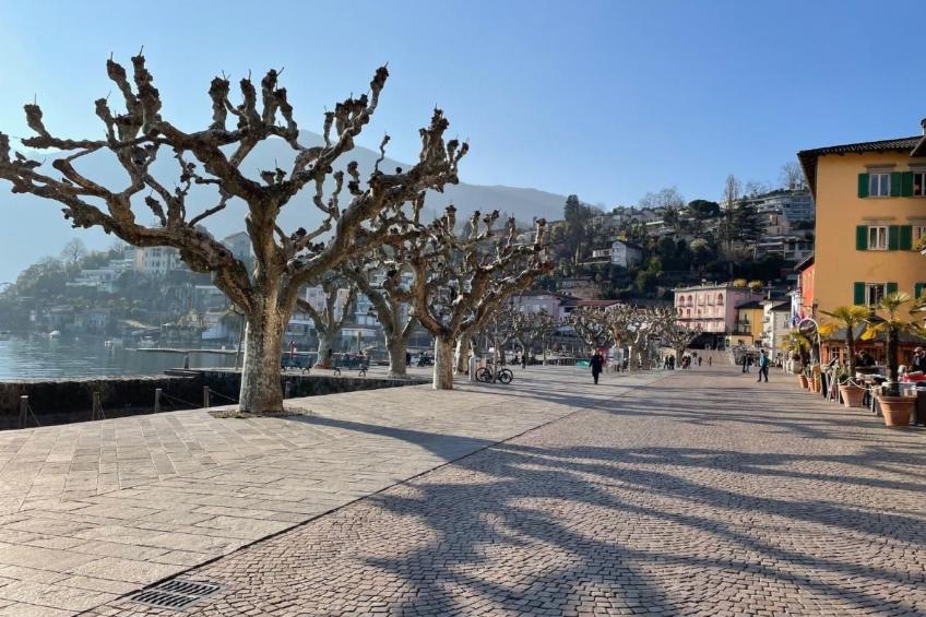 Ascona Nostrana 2 - foto 16