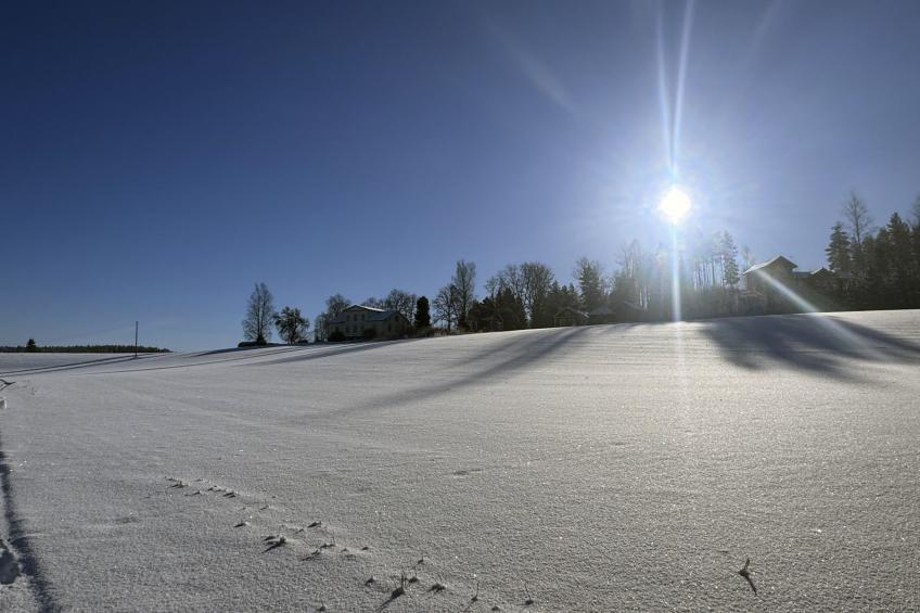 Peltosirkku, seeteri - foto 28