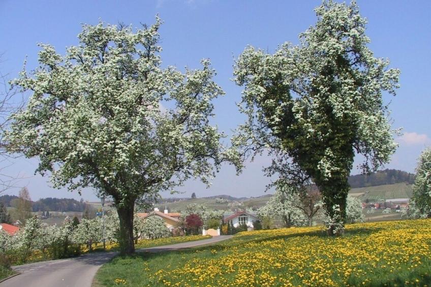 7661 - foto 5