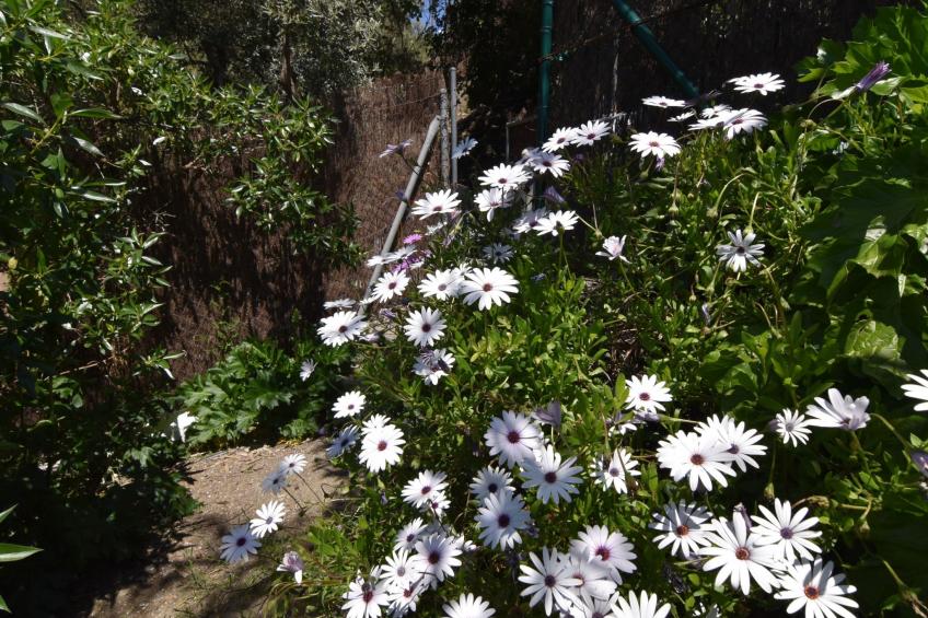 Finca El Corinto - Ein verwunschener Ort - foto 31