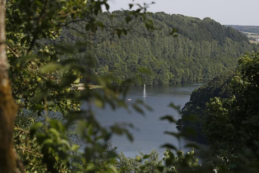 mit Garten im Naturpark Südeifel - foto 14