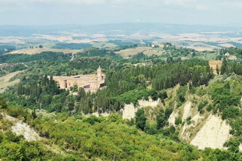 'Molinello albicocco' - foto 41