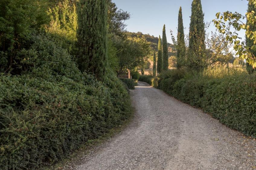 Wohnung Certaldo - foto 25