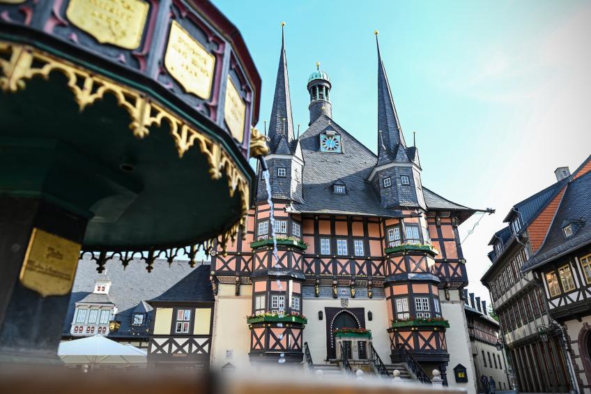 Vakantiepark Harz, Hasselfelde - Type A - foto 31