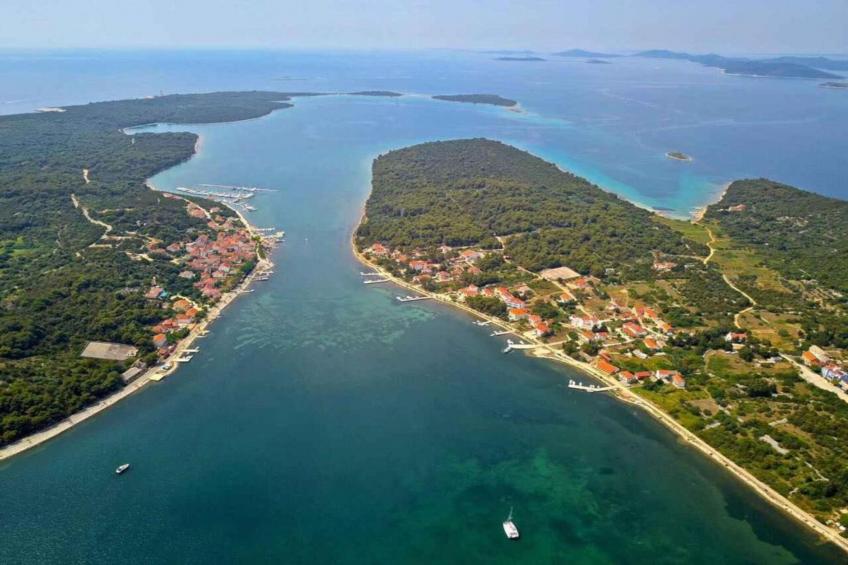 Gorgonia S2 - foto 31