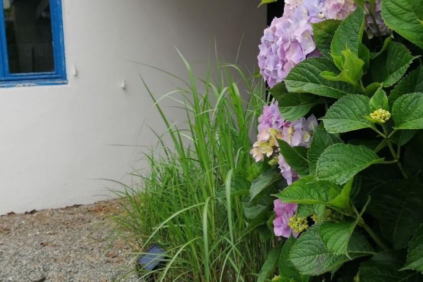 Bretagne Loctudy Haus Les Camélias 3 Personen - foto 35