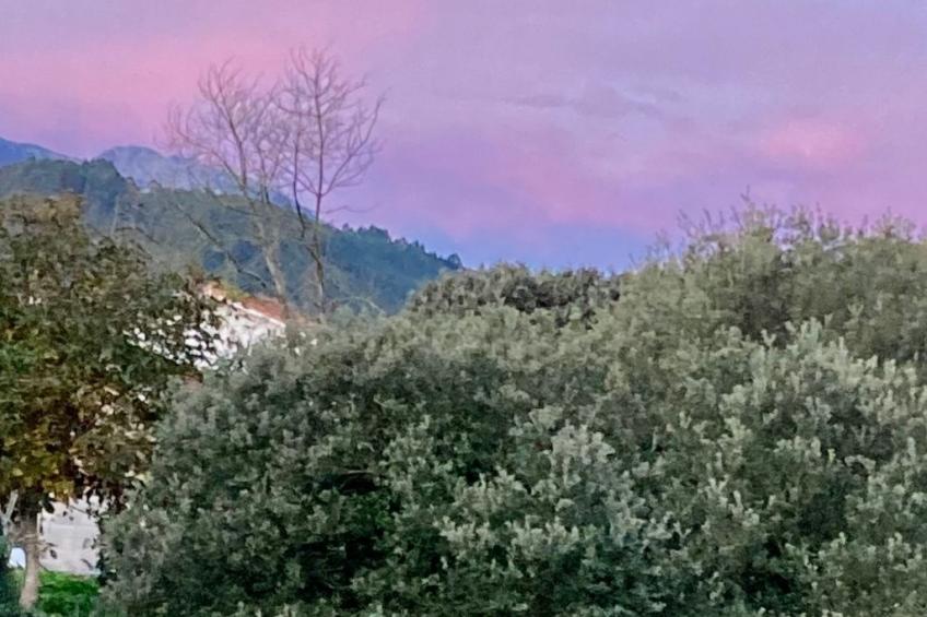 Freistehendes Ferienhaus Maria La Franca - foto 23