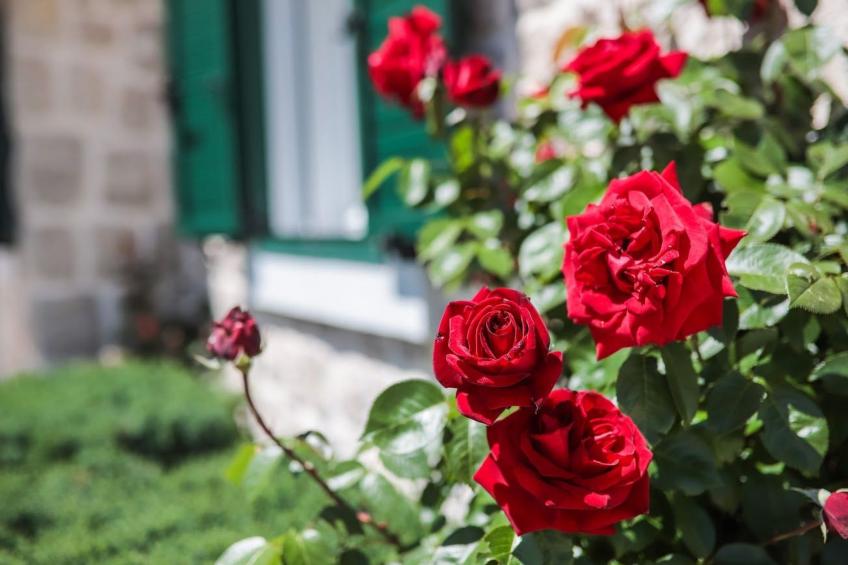 Freistehendes Ferienhaus in Duge Njive mit Privatem Pool - foto 17