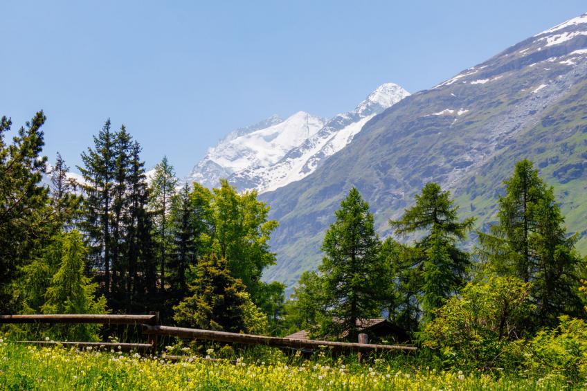 Notre Rêve - foto 26