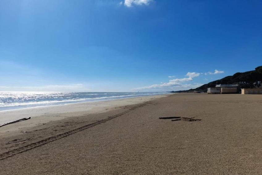 MAISON PISCINE AU CALME A PINET - foto 27