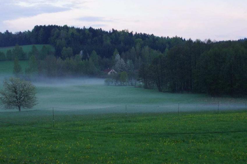 88789 - foto 19