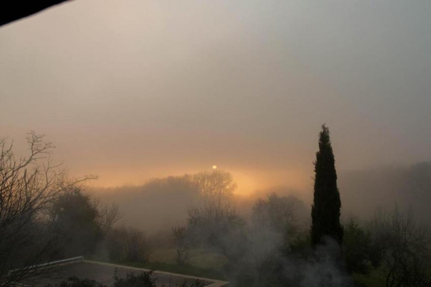 Le Chiquedou - foto 33