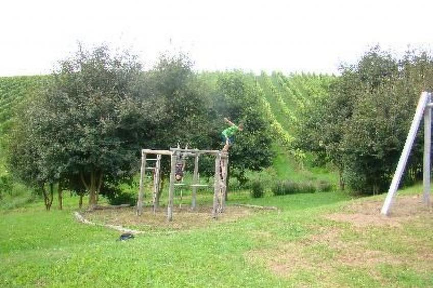 Altes Winzerhaus in Mesenich - foto 17