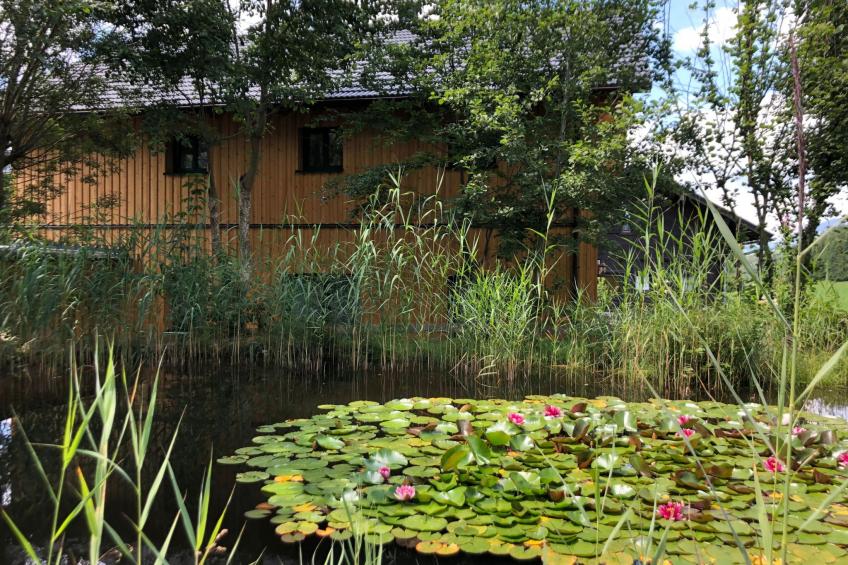 Charmante Ferienwohnung in Bad Aussee mit Grill und Garten und Bergblick - foto 6