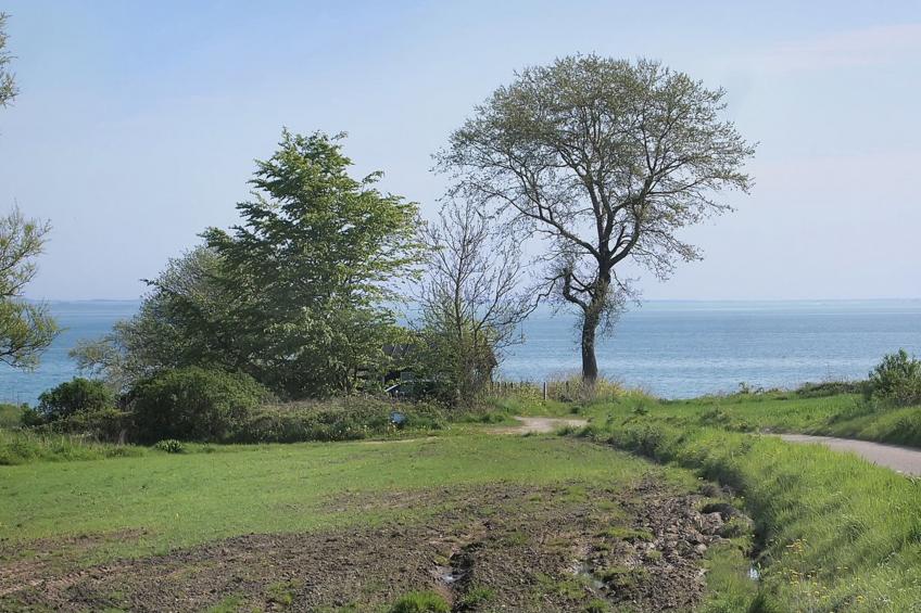 "Ady" - 150m from the sea in SE Jutland - foto 18