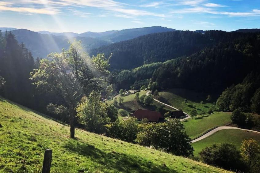 FeWo mit Whirlpool und Infrarotsauna - foto 25