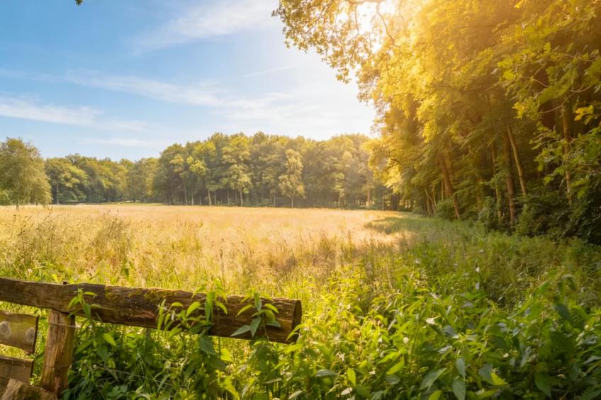 Wellnesshuisje Engelse Tuin - foto 38