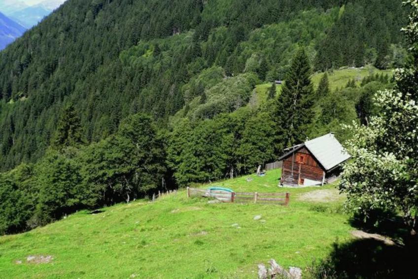 Almhütte Unterhofer - foto 24