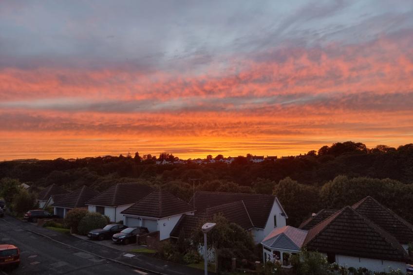 Willow Dene - foto 10