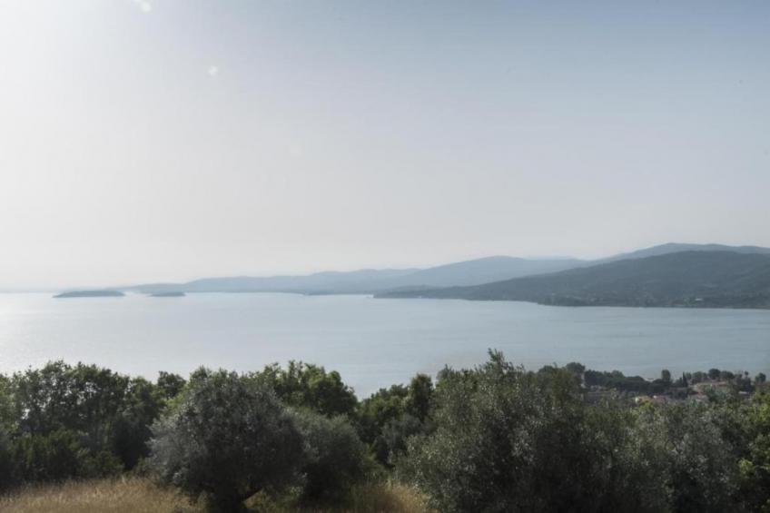 Nespolo Uno - foto 6