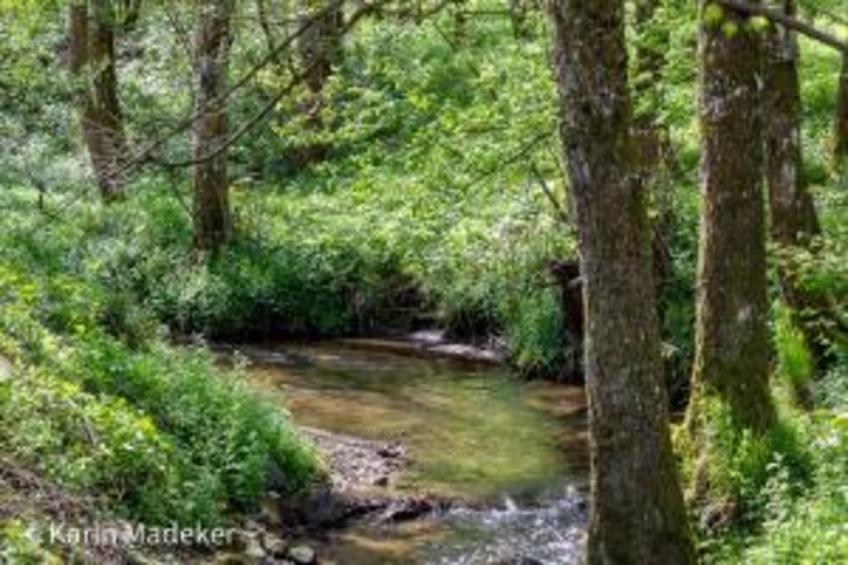 Vakantiepark Jägerwiesen - foto 20