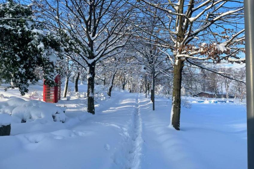 Villa Carpaneto - foto 37