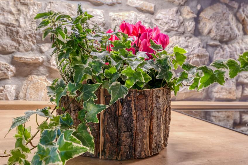 Sirotnjak 2 - foto 15