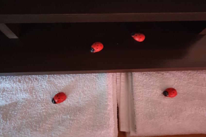 Viva Ve - Studio Apartment - foto 9