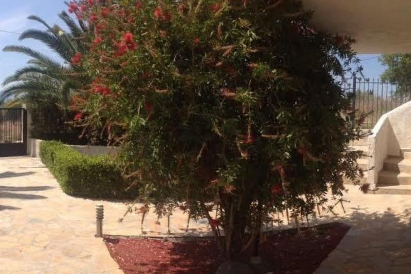 Studio mit Garten - foto 16