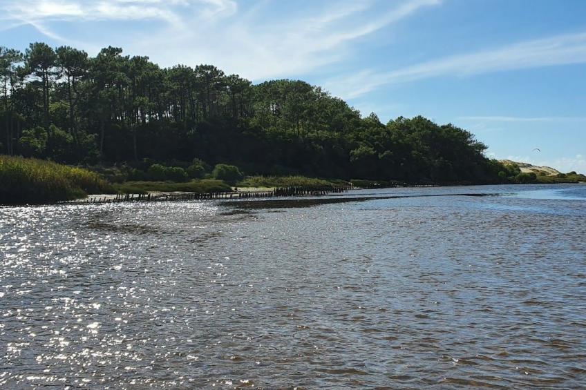 Villa Cocoon Contis-plage 1 chambre - foto 21