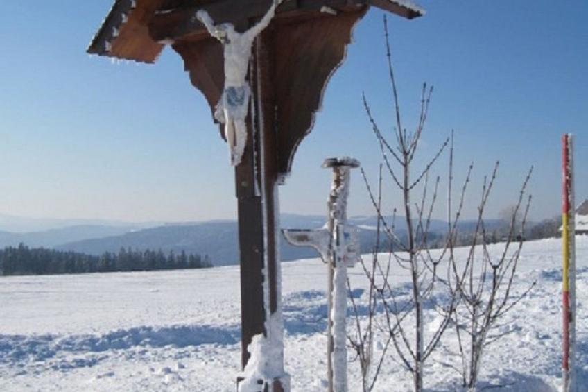 Appartement mit Garten in Schwärzenbach - foto 27
