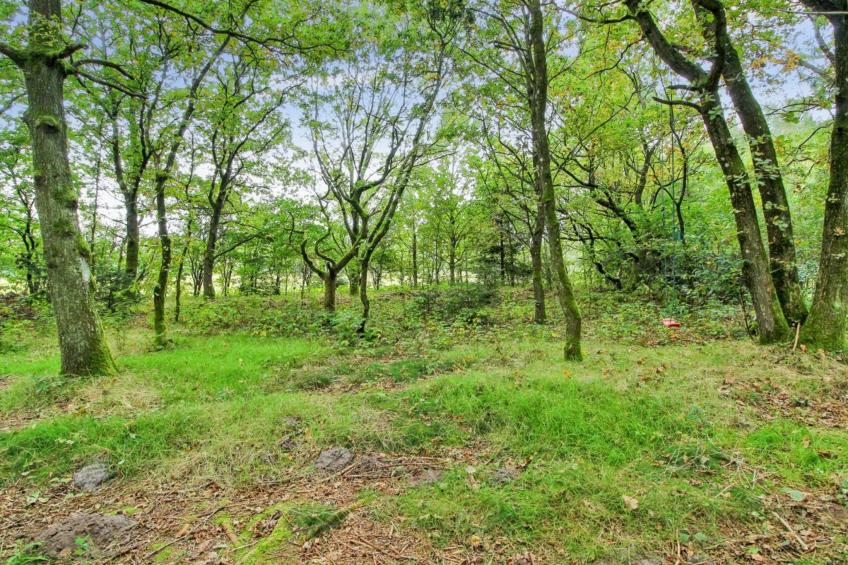 "Ellica" - 3km from the sea in SE Jutland - foto 3