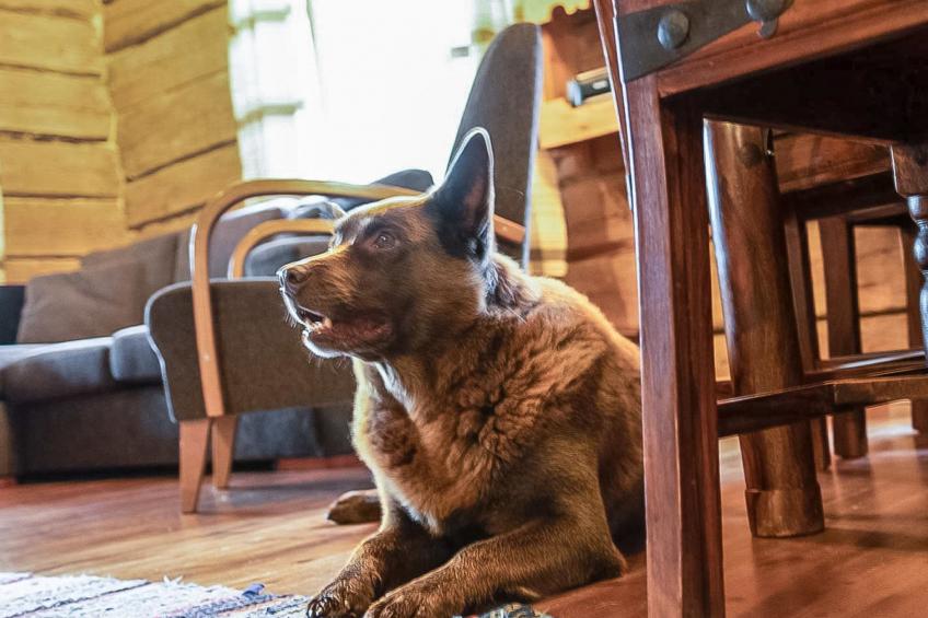 Tuomaantupa, rantalan lomamökit - foto 15