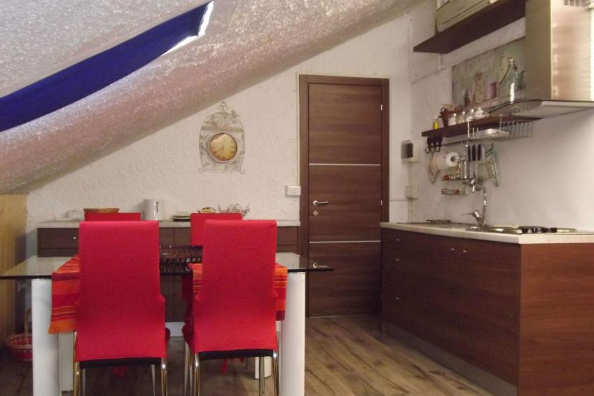 Flache Kornblume - foto 3