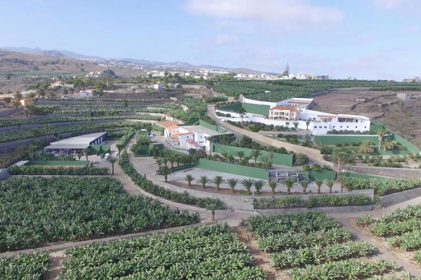 Villa los palmitos Familiäre Privatvilla mit Pool - foto 53