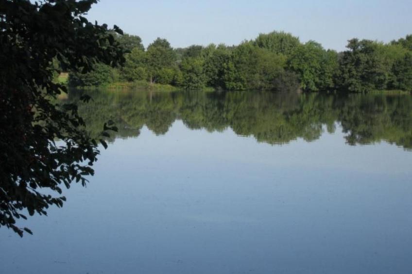 Große Ferienwohnung mit Balkon und Garten - foto 17