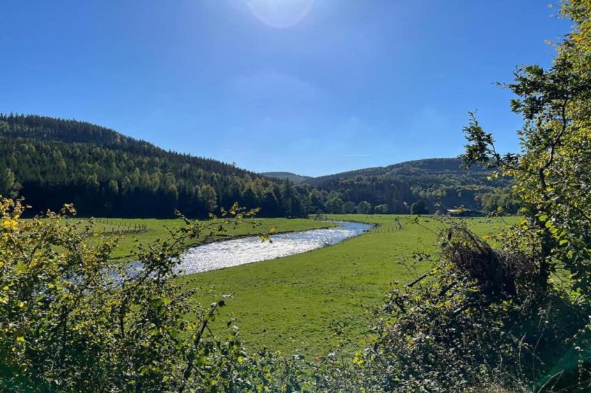 Weidenhäuser Mühle - foto 30