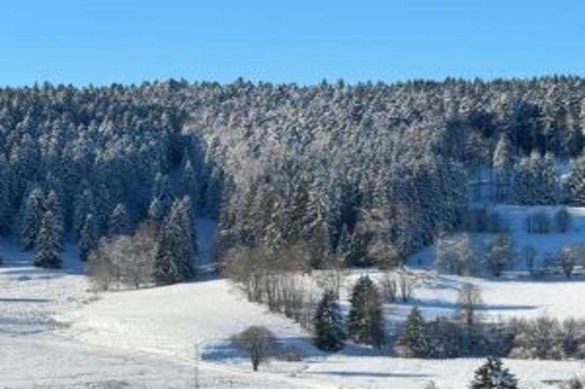 Ferienwohnung Herrischied - foto 16