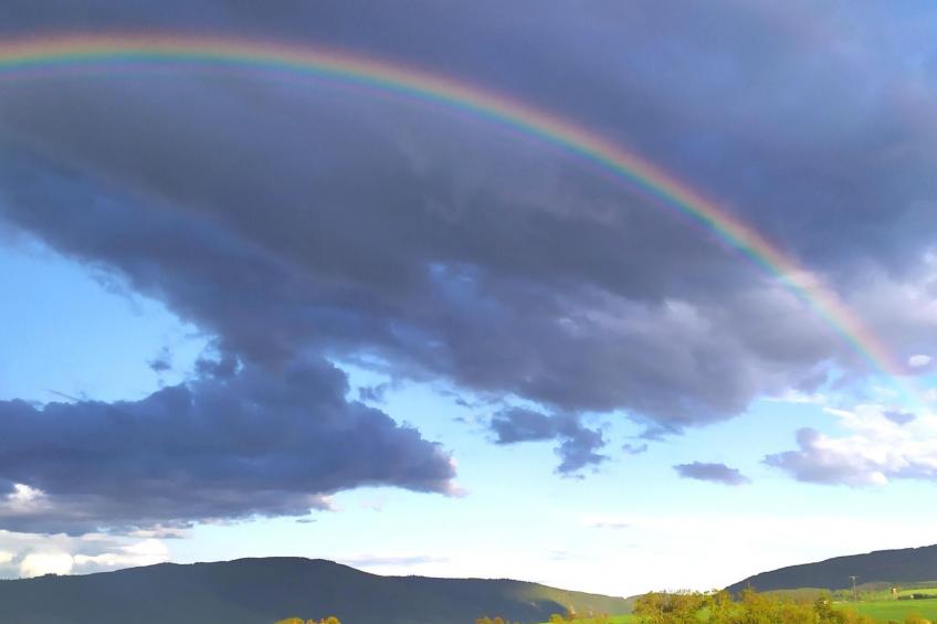 Appartement in Medenscheid mit Garten und Terrasse - foto 14