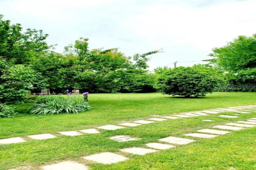 Violino Angelico 1 - foto 19