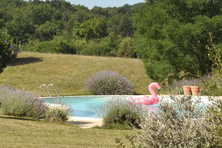 Domäne "Domaine de Ravel" - foto 17