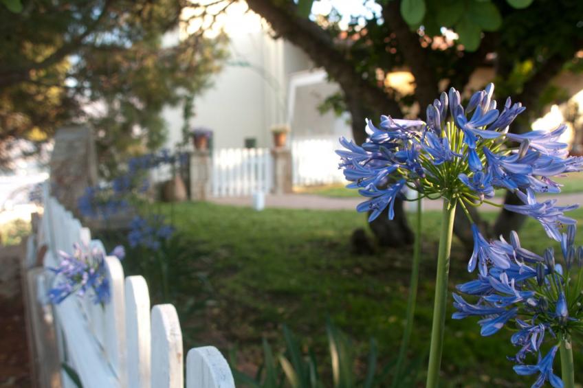 Der Garten von Zephyrus - West - foto 32