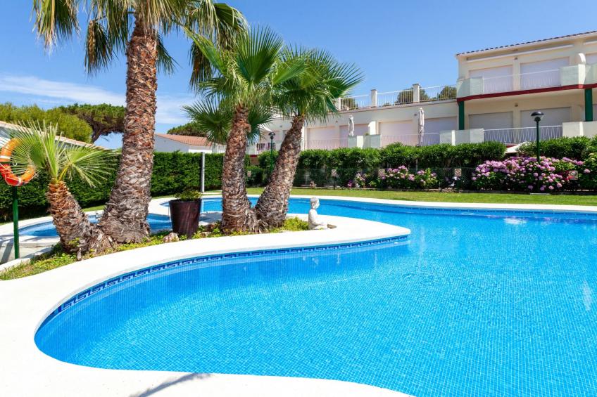 Palmiers 01 - foto 14