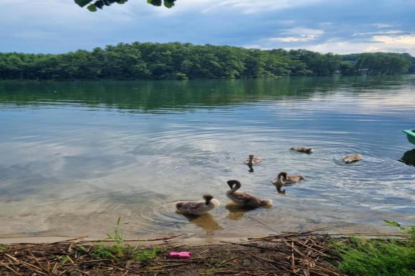 Holiday Home Louisa - foto 36