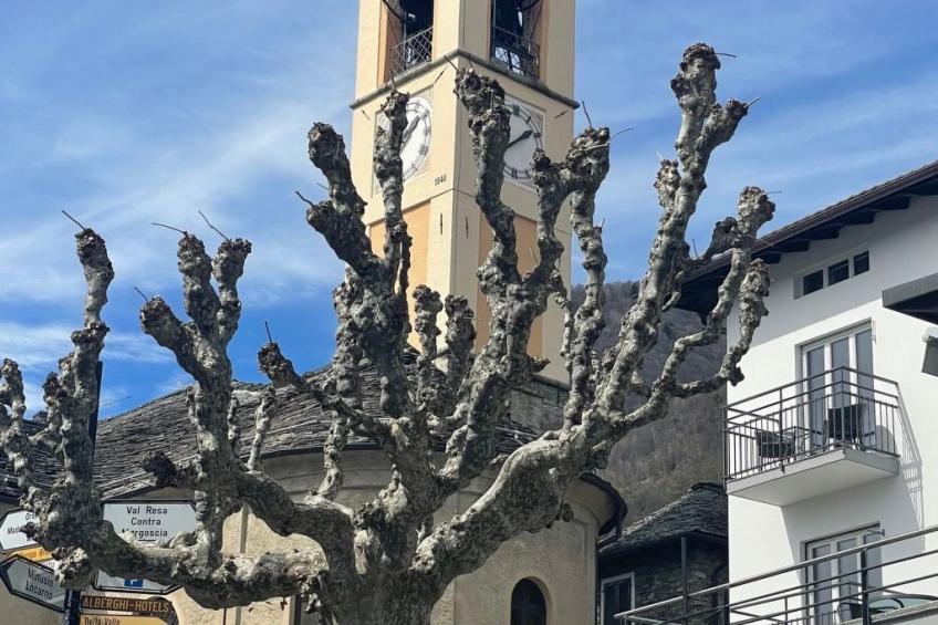 Casa Vecchia II - foto 30