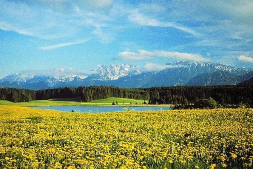 Appartement incl. KC - foto 22