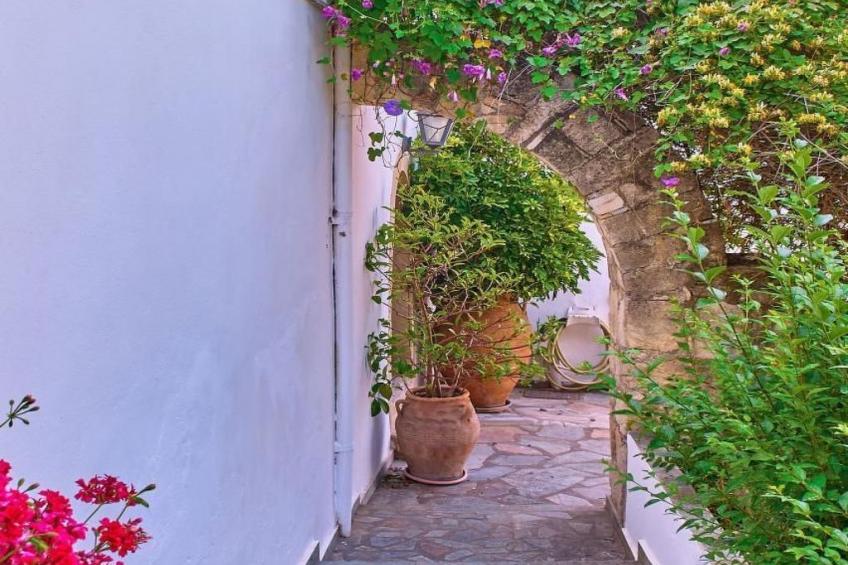 Villa Manthos Traditionelles Kretisches Herrenhaus - foto 35