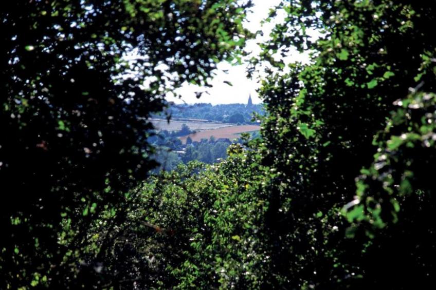 Vakantiepark Klein Vink 24 - foto 32