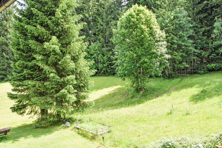 Studio Esche 3 - foto 48