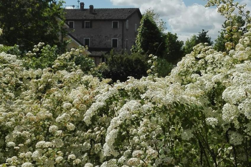wohnung "Angelica" auf einem Bauernhof - foto 10